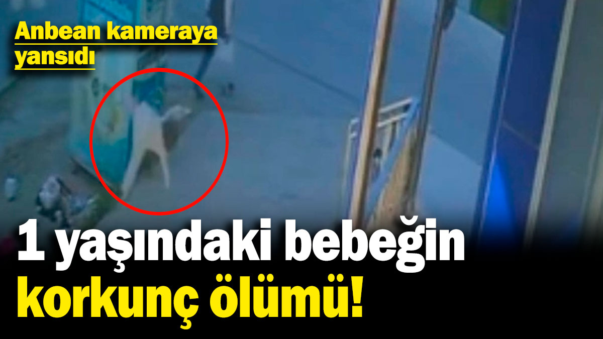1 yaşındaki bebeğin korkunç ölümü! Anbean kameraya yansıdı