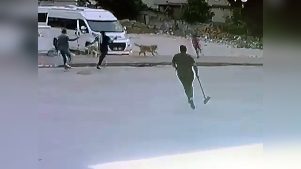 Adana'da çocuk, sokak köpeklerinden esnaf sayesinde kurtuldu