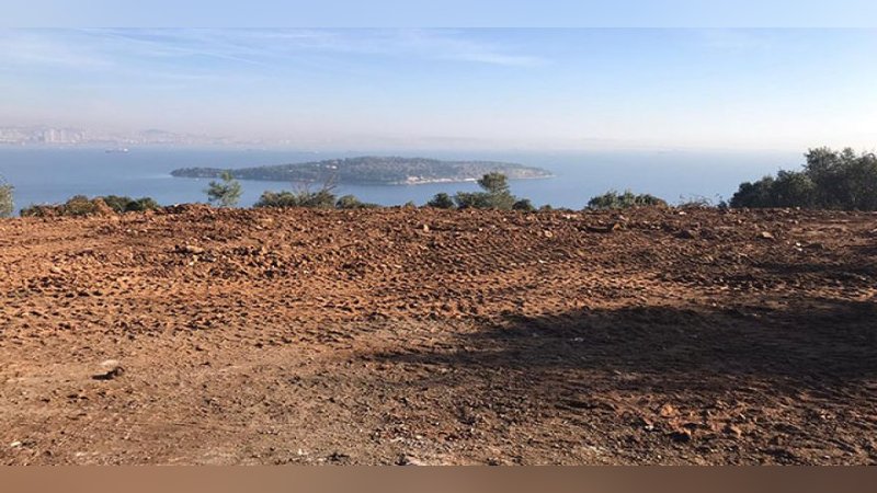 Büyükada'da Ruam'lı 81 at gömüldü