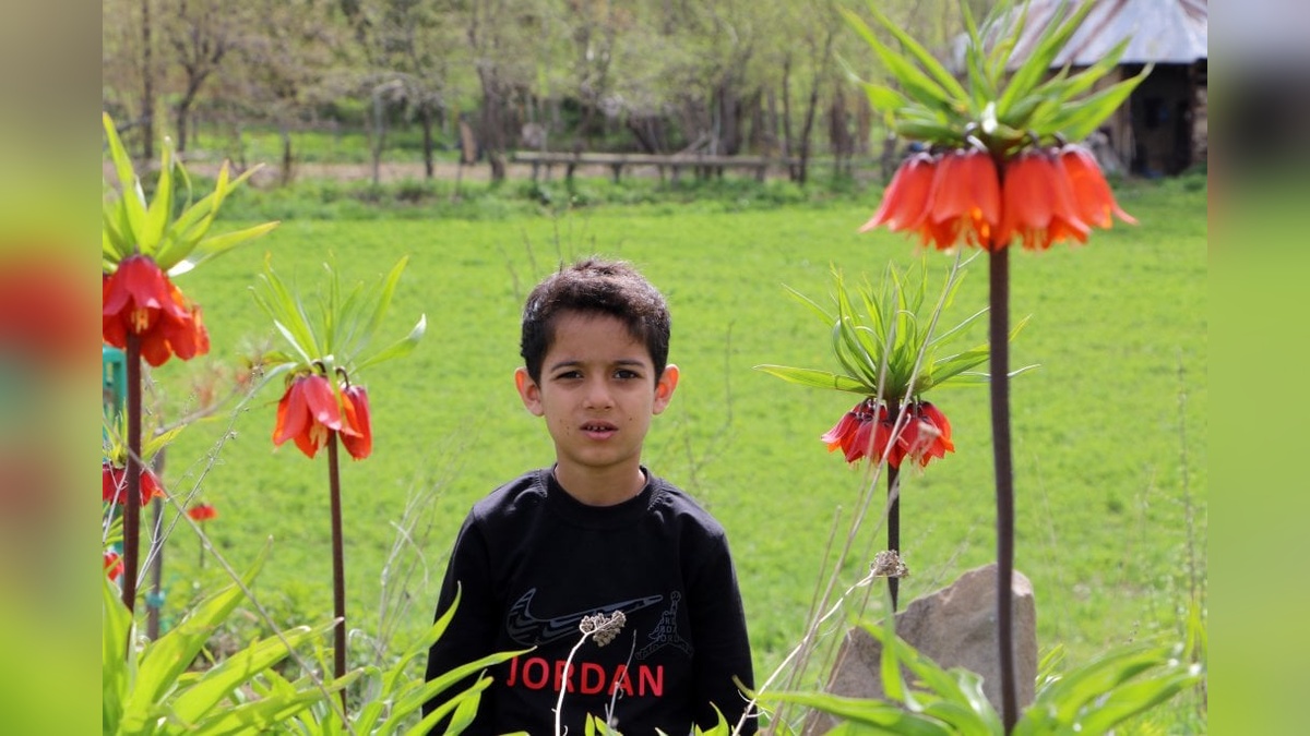 Koruma Altındaki Ters Laleler Jandarma Denetimiyle Korunuyor