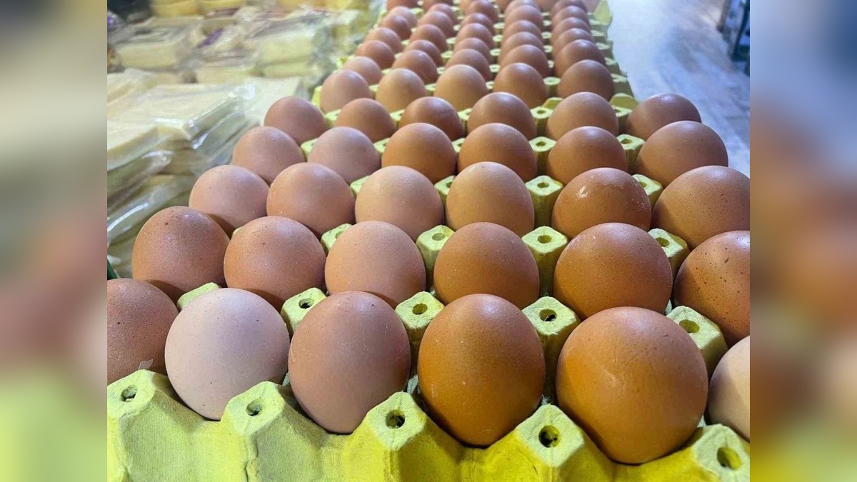 YÜSAD Başkanı Akman: Yumurta Sanayisi Türkiye'nin Geleceği İçin Çok Önemli