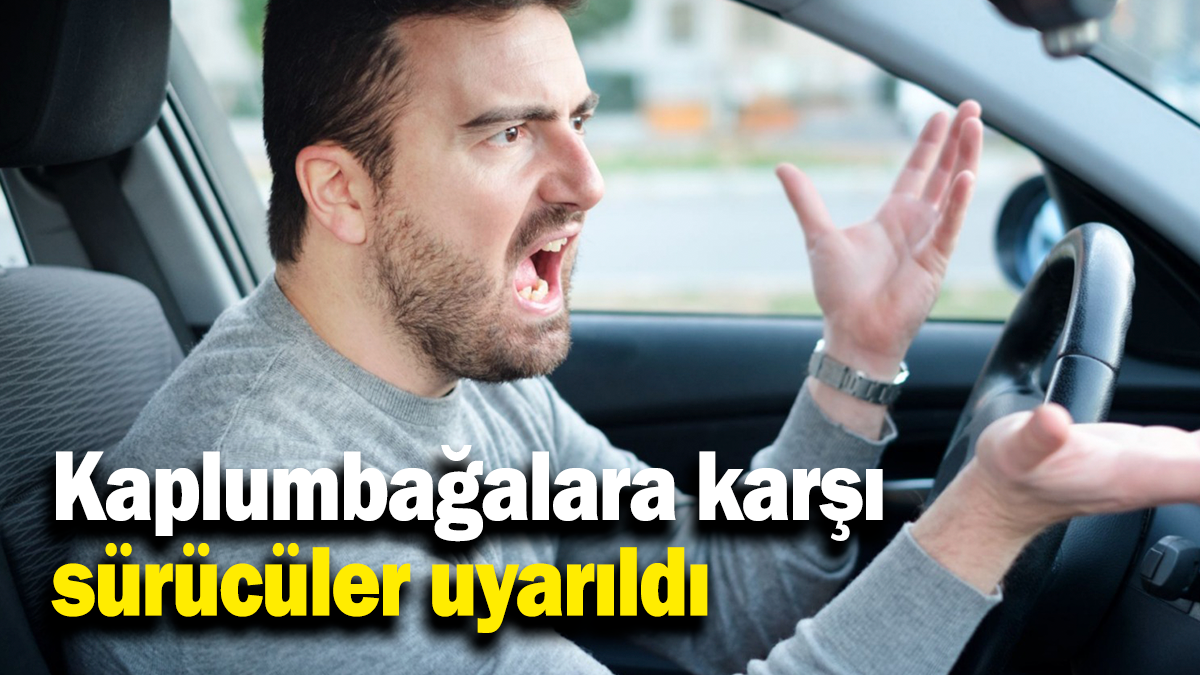 Kaplumbağalara karşı sürücüler uyarıldı