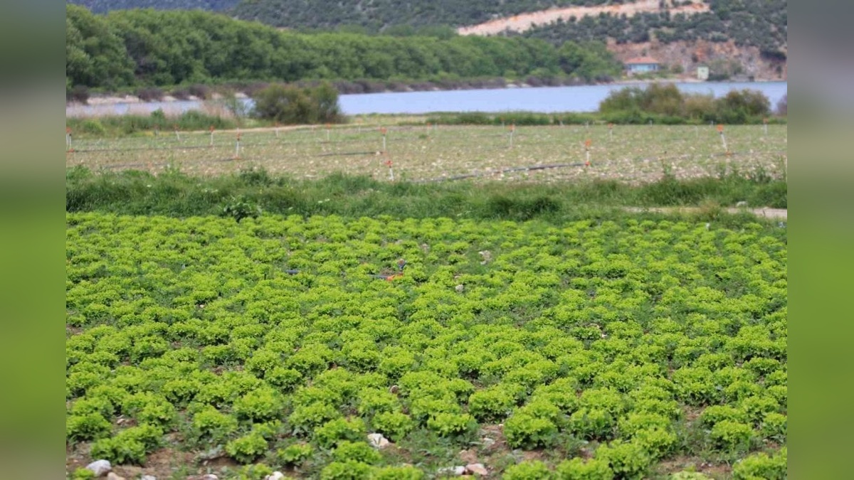 DSİ, Gölbaşı Baraj Gölü Havzasındaki Yasa Dışı Ekimi Önlemek İçin Adım Attı