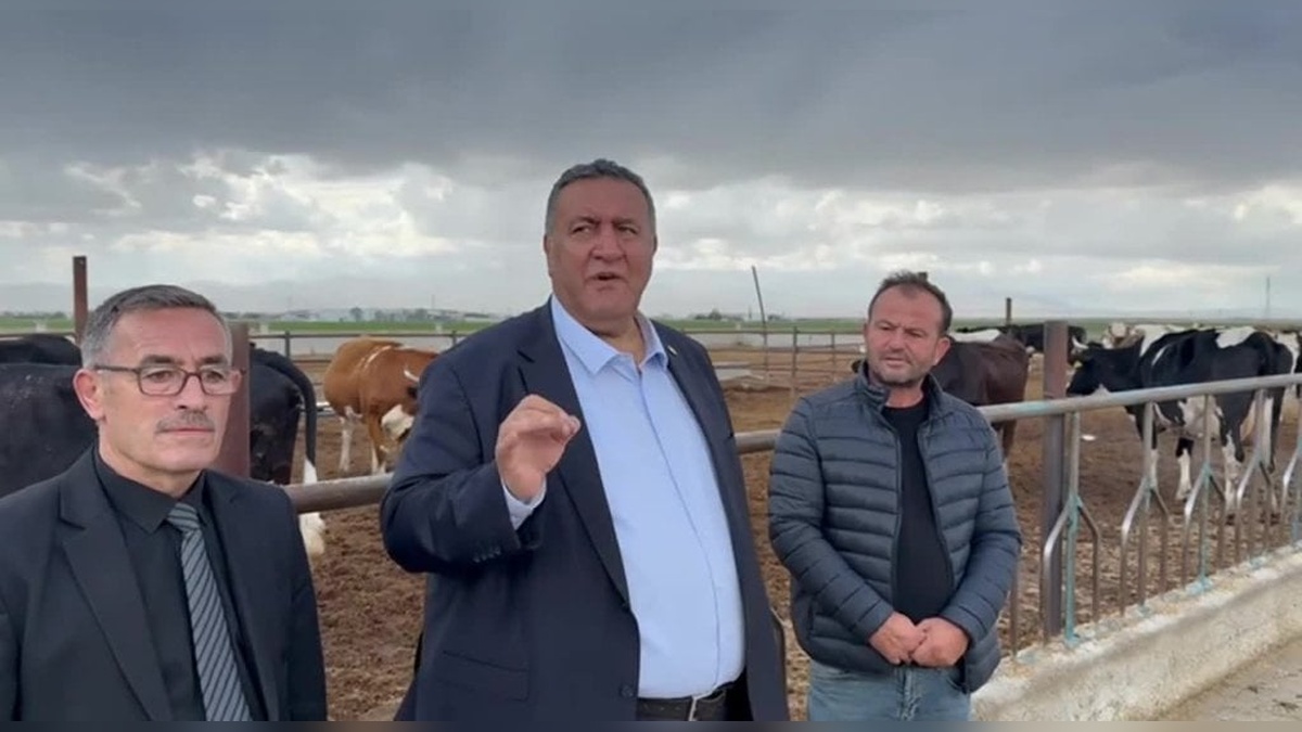 Süt Üreticileri, Yükselen Maliyetler ve Düşük Fiyatlardan Yakınıyor