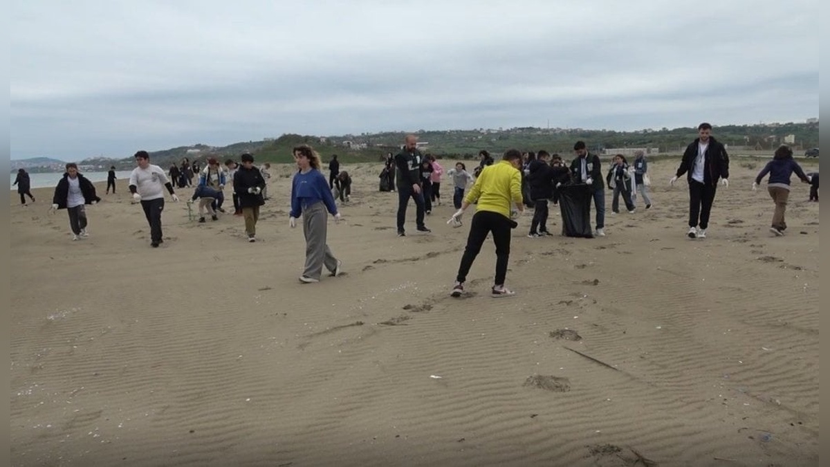 Sinop'ta Öğrenciler, Kum Zambaklarını Korumak İçin Çevre Temizliği Yaptı