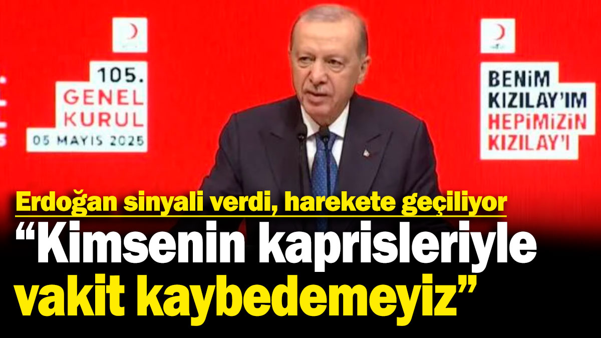 Erdoğan sinyali verdi, harekete geçiliyor! "Kimsenin kaprisleriyle vakit kaybedemeyiz"