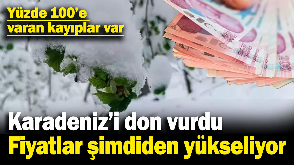 Karadeniz'i don vurdu, fiyatlar şimdiden yükseliyor! Yüzde 100'e varan kayıplar var