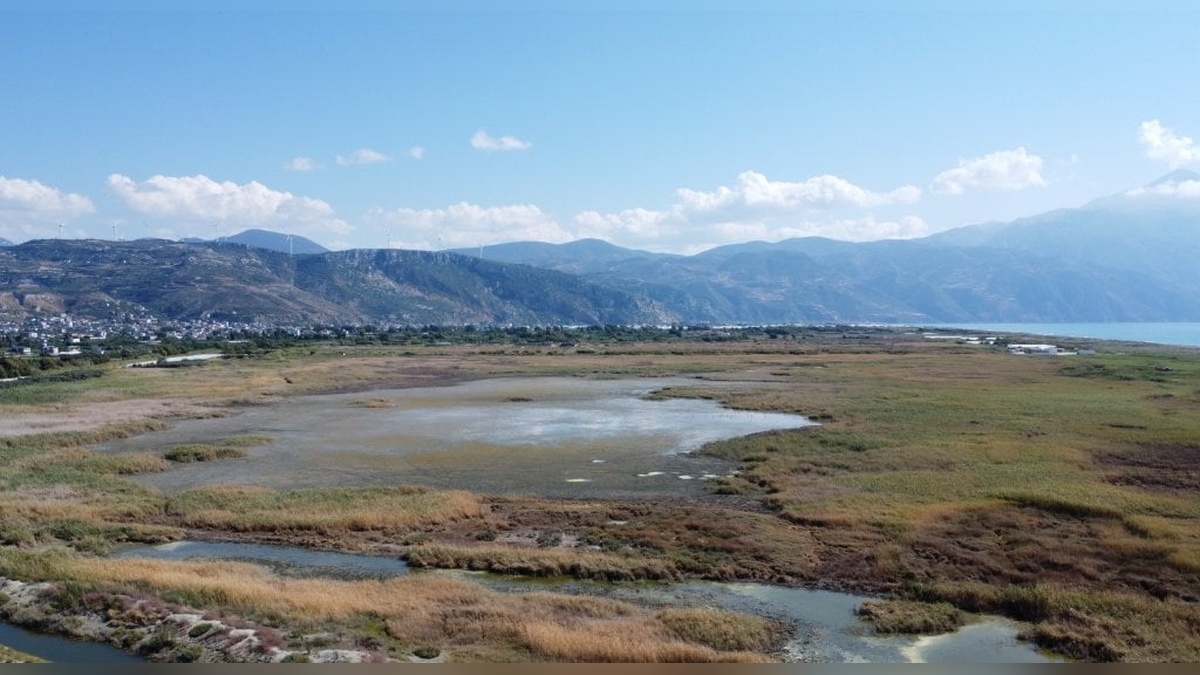 Milleyha Sulak Alanı'nda 12 yeni kuş türü gözlemlendi
