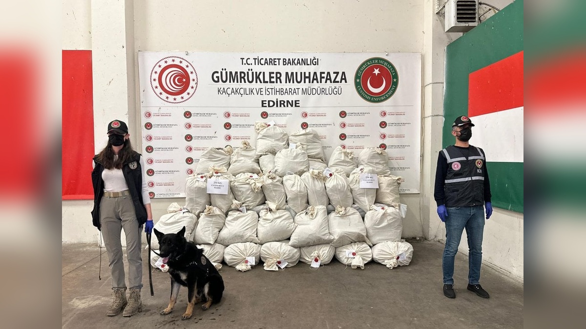 Kapıkule'de 233 kilo esrar yakalandı, sürücü tutuklandı