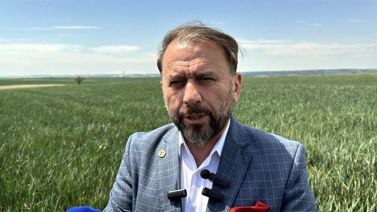 Trakya'da kuraklık tehlikesi: Rekolte düşüklüğü yüzde 80'e ulaşabilir