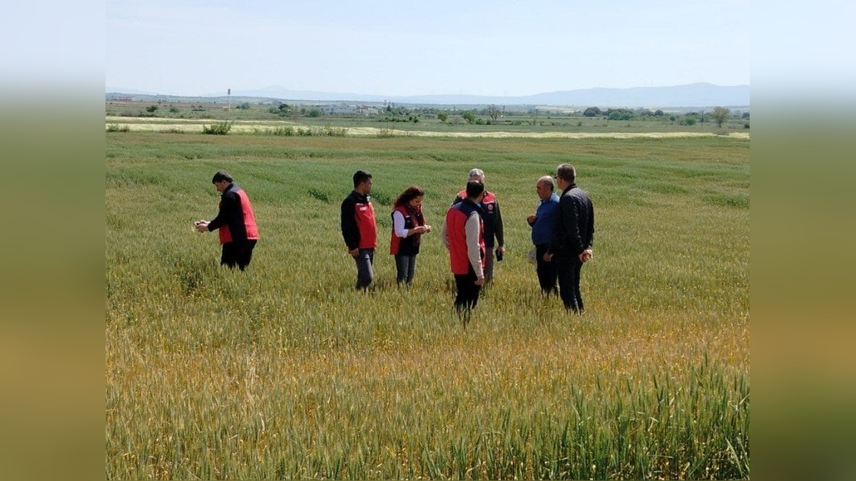 Çanakkale'de üreticiler kuraklık ve don tehlikesi konusunda uyarıldı