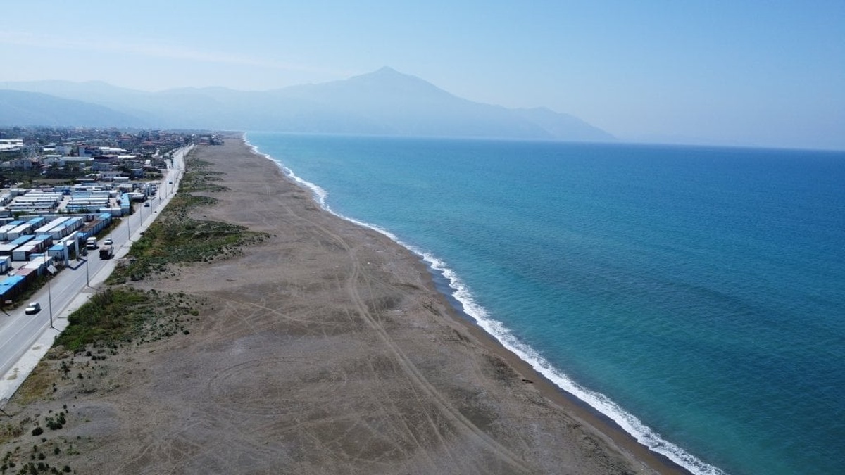 Samandağ'da deprem sonrası yeşil deniz kaplumbağaları korunamıyor
