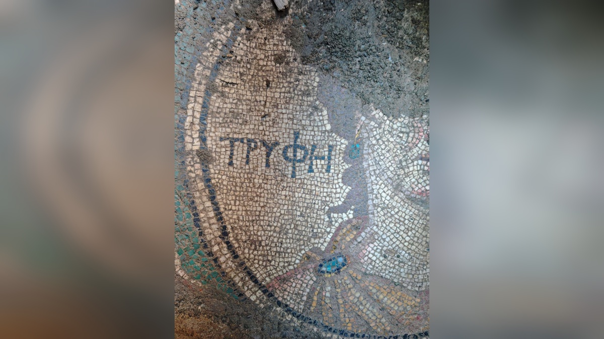 Zile'de kaçak kazıda Antik Yunan mozaiği bulundu, 2 şüpheli tutuklandı