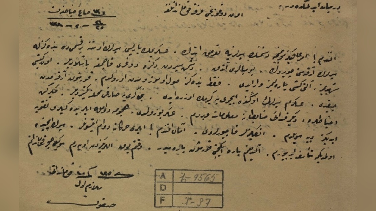 Çanakkale'de 110 yıl önce yazılan rapor: 'Siperlerde ölmediğime teessüf ediyorum'