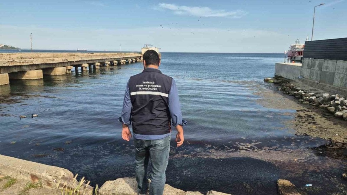 Süleymanpaşa sahilinde kızıl yosun ve alg patlaması: Deniz rengi değişti, ağır koku oluştu