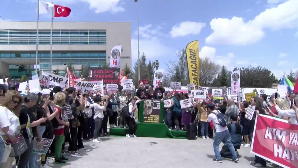 AYM'de hayvan koruma kanunu tartışmaları sürüyor