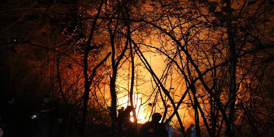 Karadeniz'de yangınlar sürüyor