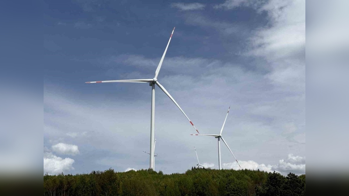 Recep Tayyip Erdoğan Geyve Rüzgar Enerji Santrali'ni açtı