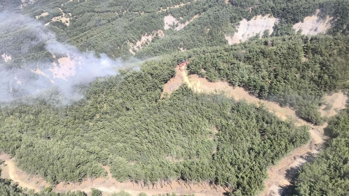 Gökçeada'da çıkan orman yangını kontrol altına alındı