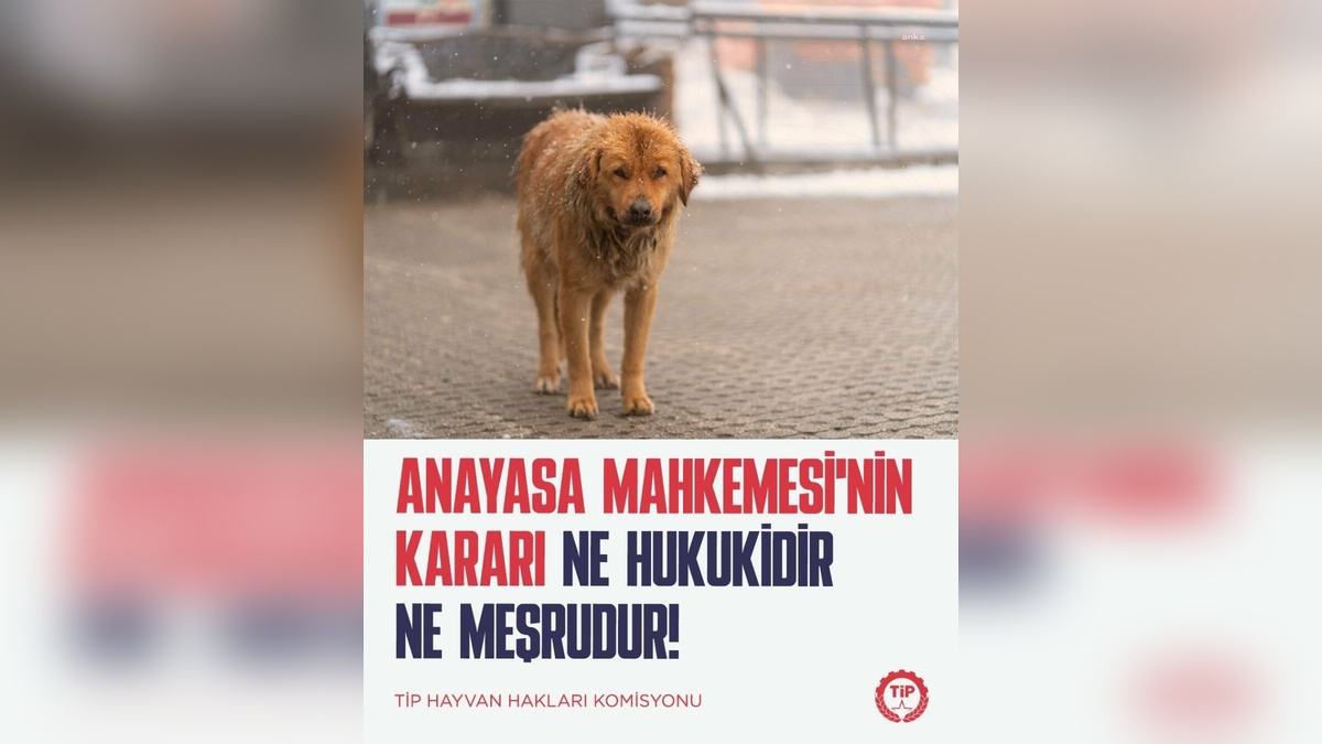 TİP'ten Anayasa Mahkemesi kararına tepki: 'Tarih sizi unutmayacak'