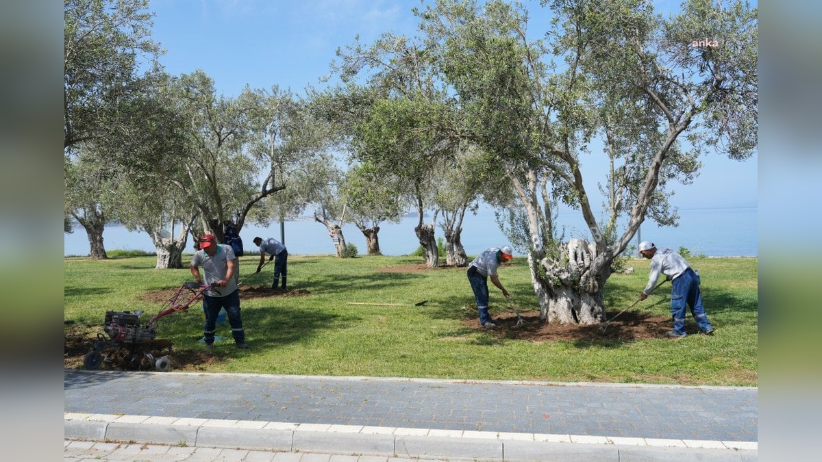 Burhaniye Belediyesi yaz hazırlıklarına başladı