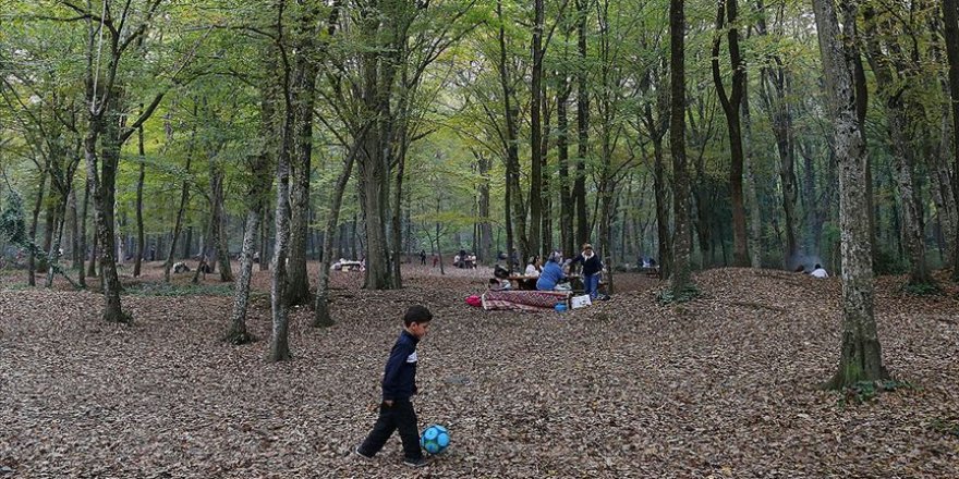 Ormanda çöp bırakanlara yaptırım talebi