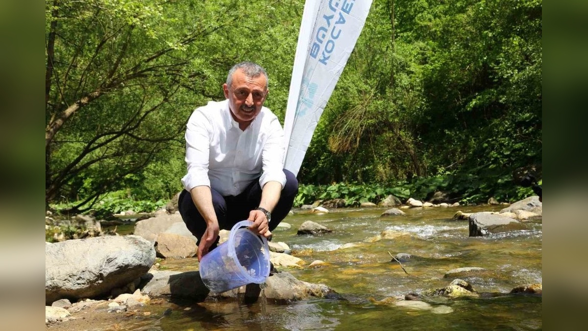 Kocaeli Büyükşehir Belediyesi, Kirazdere'ye 8 bin kırmızı benekli alabalık saldı