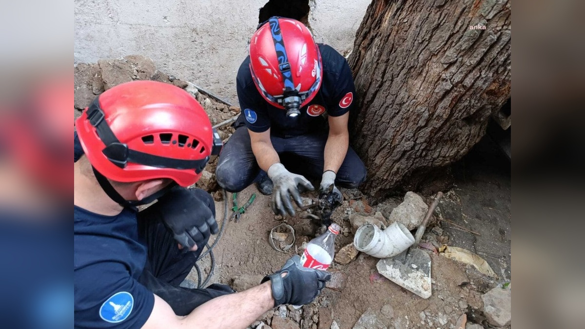 İzmir'de itfaiye, havalandırma bacasına sıkışan yavru kediyi kurtardı