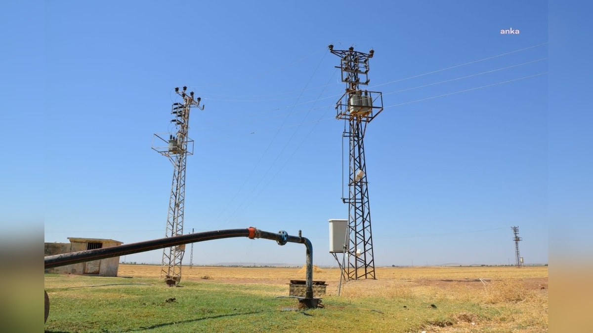 Mardin Ovası'nda Kuraklık ve Bilinçsiz Sulama: Obruk Tehlikesi Yaklaşıyor