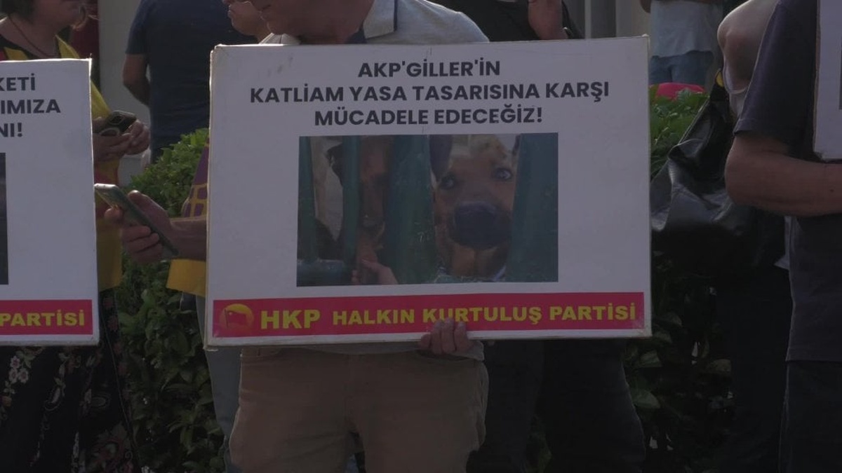 İzmir'de 'Katliam Yasası' Protestosu: Yaşam Hakkı Savunucuları Sokağa Çıktı