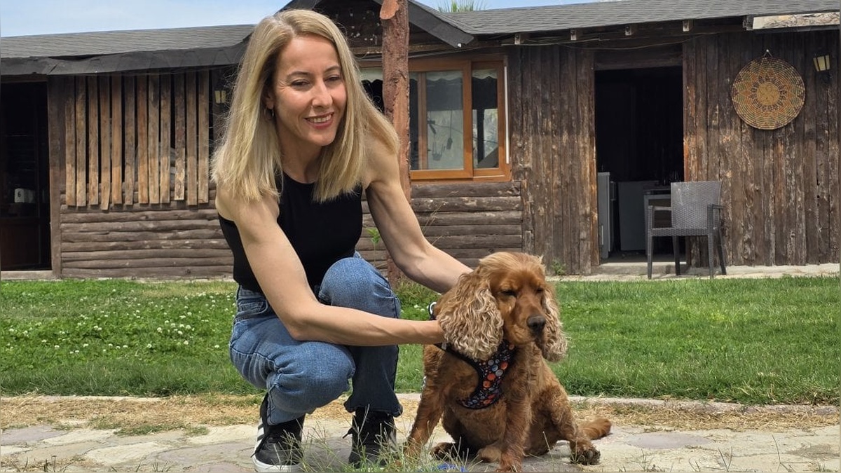 Hatay'da kayıp köpek Çilek, 40 bin TL ödülle bulundu: 3 ay sonra ağaca bağlı halde kurtarıldı