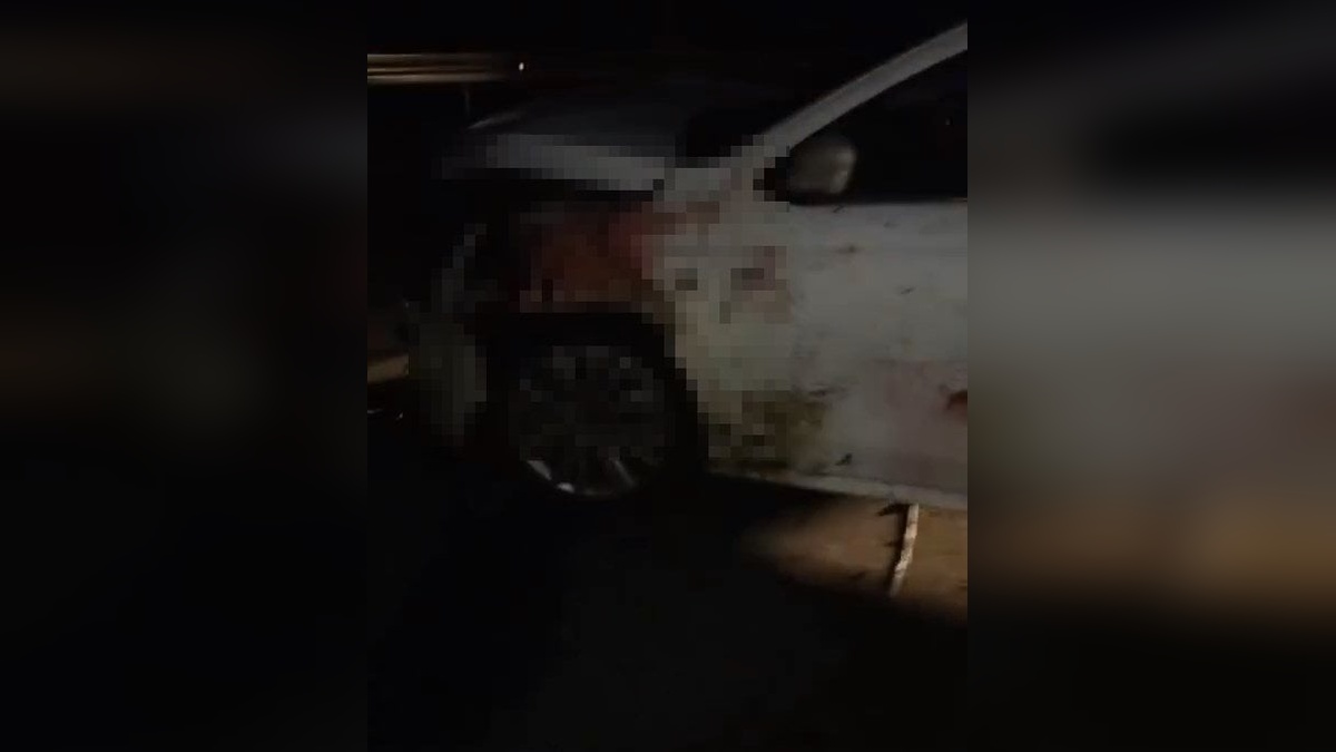 Elazığ'da sürüye otomobil çarptı: 15 koyun telef oldu