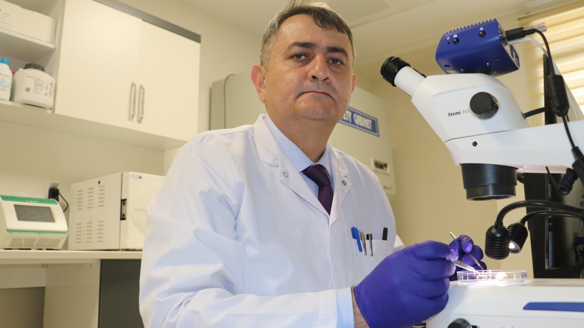 Uzmanından elle koparmayın uyarısı geldi