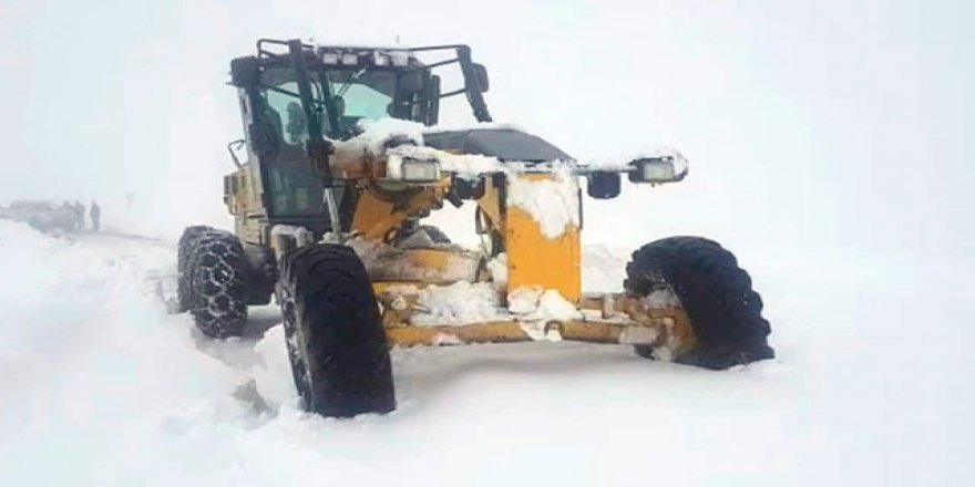 Bingöl'de 180 köy yolu kardan kapandı