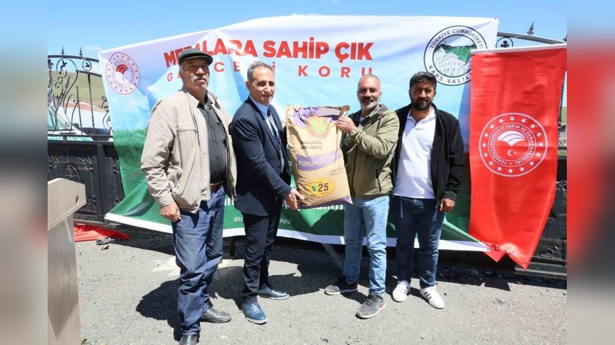 Kars'ta çiftçilere 60 ton korunga tohumu hibe edildi