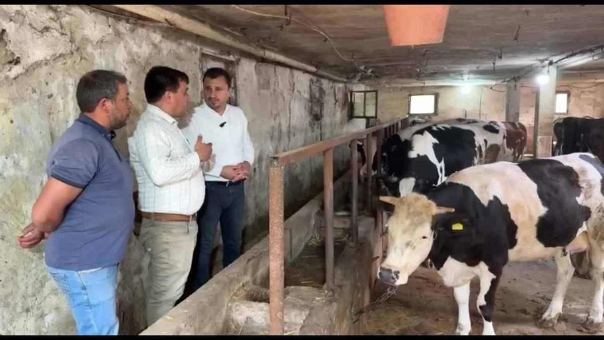 CHP'li Başevirgen: Manisalı besicilerden bayram öncesi sorunlarını dinledi