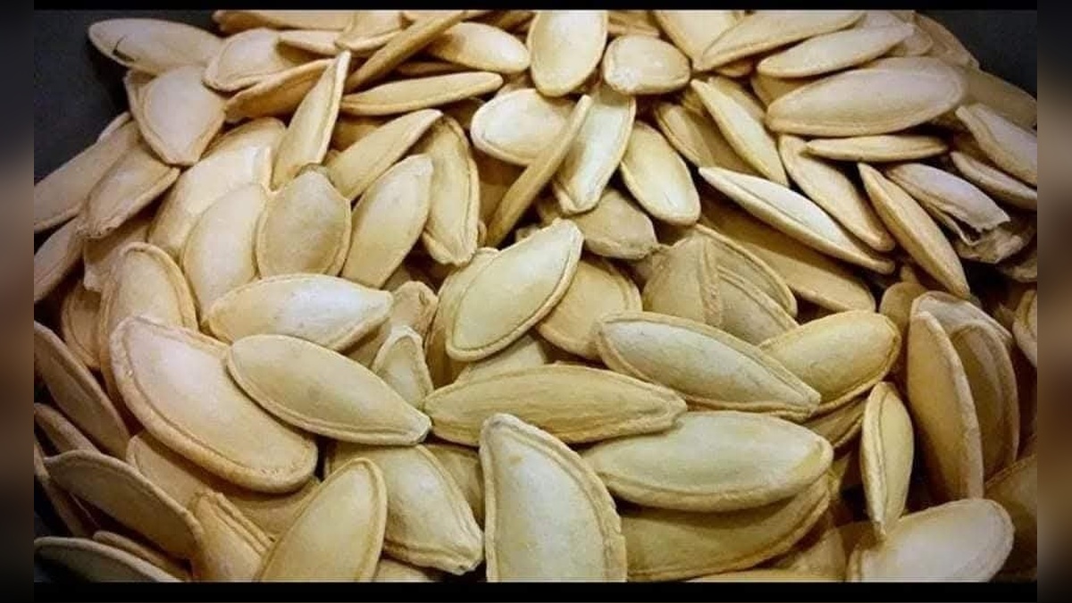 Erciyes Dağı eteklerinde kabak çekirdeği ekim sezonu başladı