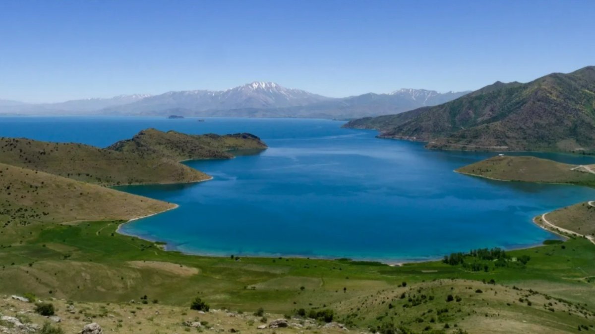 Dünyada sadece Van Gölü'nde bulunuyor: Binlerce kişi izlemek için akın etti