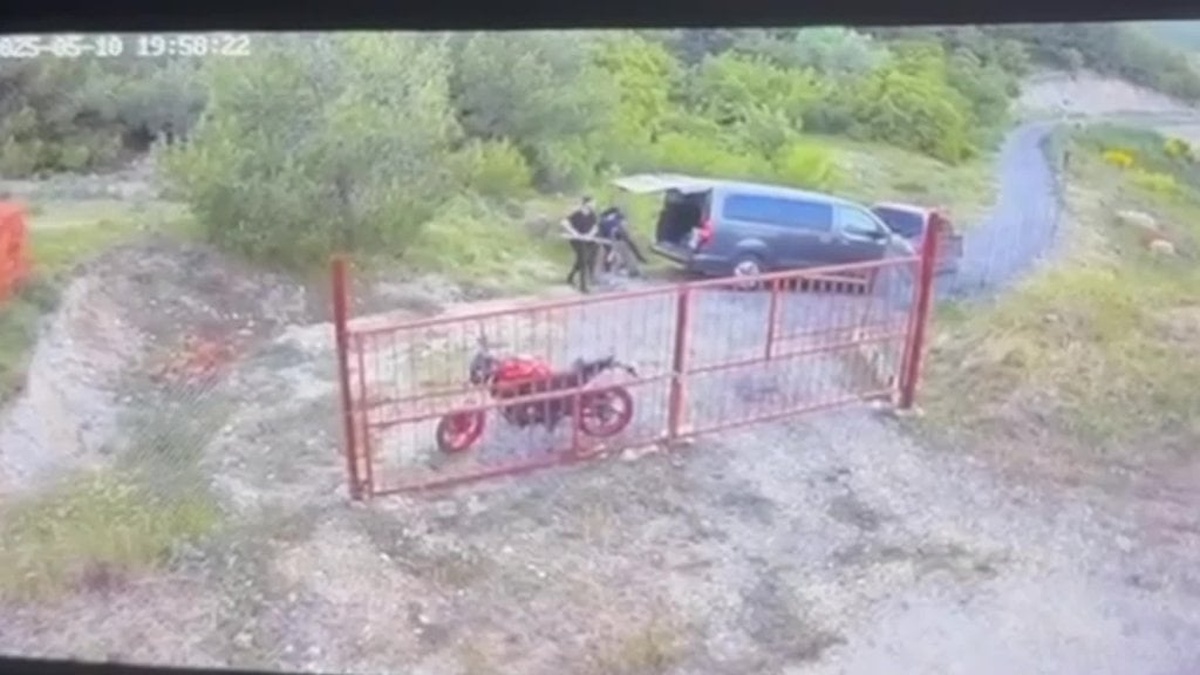 İzmir Bornova'daki orman yangını: 5 kişi tutuklandı