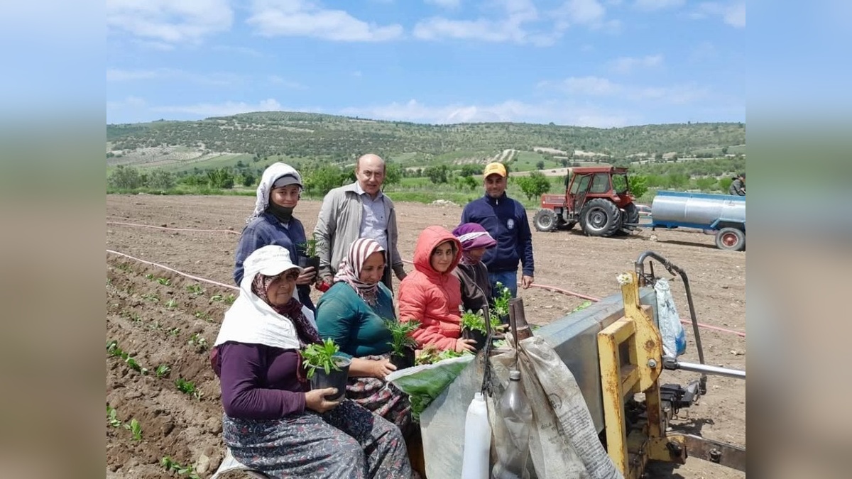 Selendi CHP'den Anneler Günü'nde tarlada çalışan kadınlara ziyaret