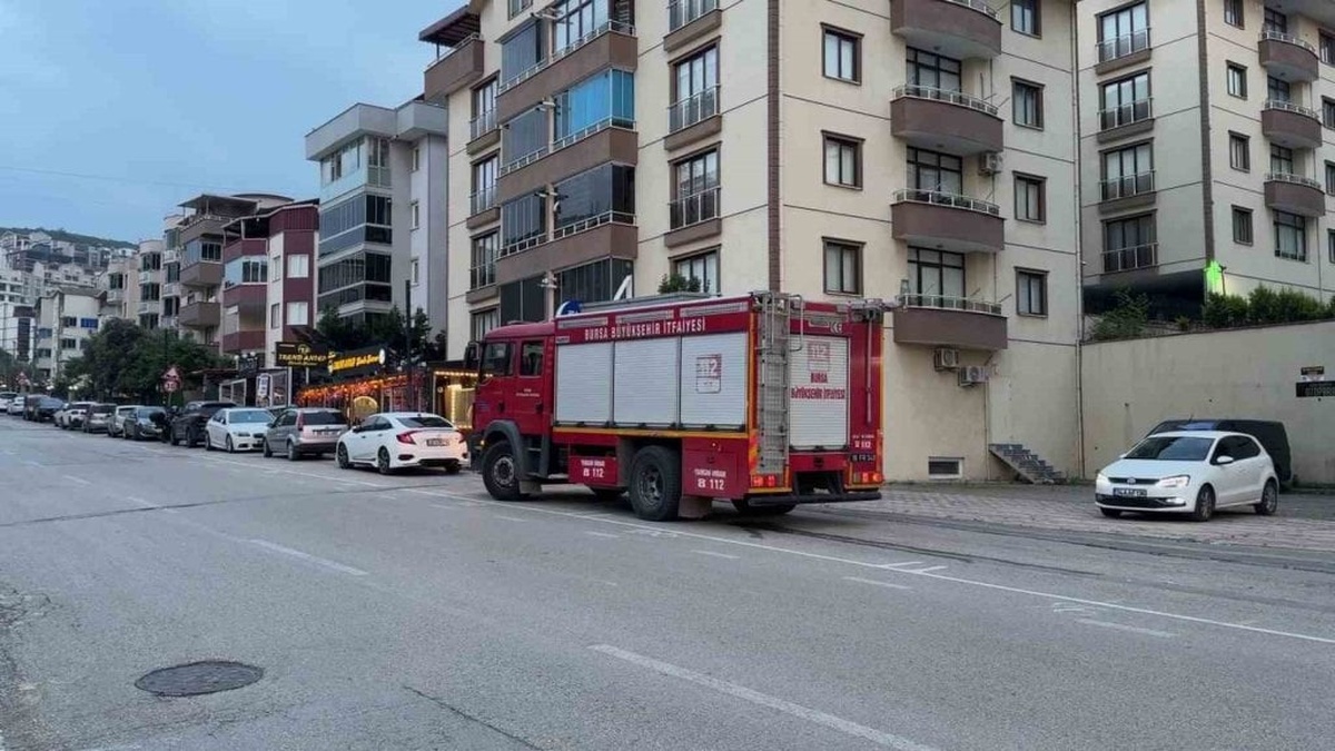 Bursa'da park halindeki araçta mahsur kalan kedi kurtarıldı