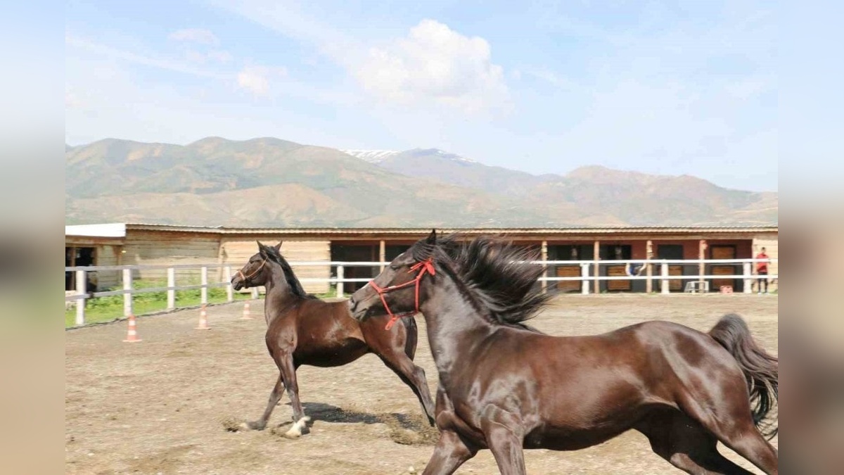 Erzincan Tarım ve Orman İl Müdürü Koçaker: TKDK hibeleriyle kırsal turizm gelişiyor