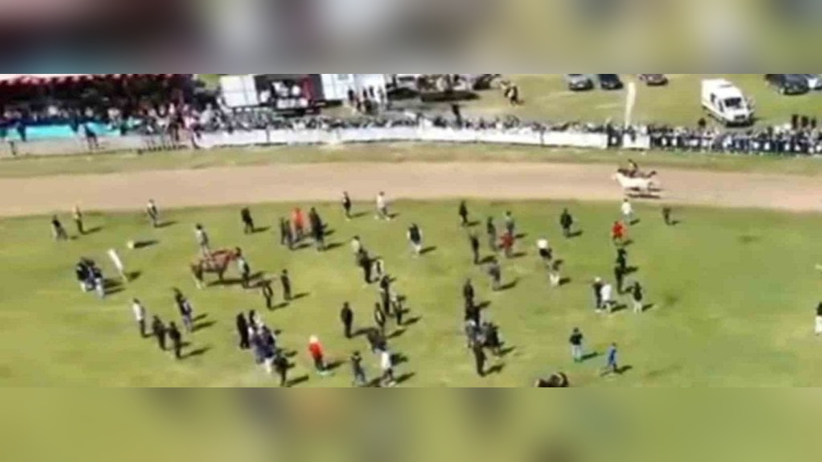 Balıkesir'de jokeysiz at yarışı kazandı