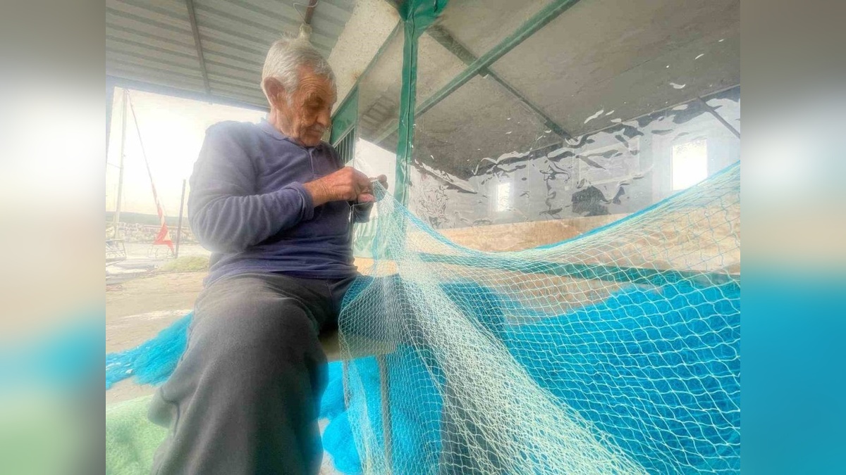 Gemlik Su Ürünleri Kooperatifi Başkanı Dalarel: Müsilaj balıkçıları mağdur etti