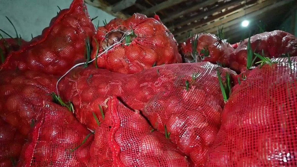 Yozgat ve Çorum’da soğan üreticisi zor durumda: Ürünler elimizde kaldı