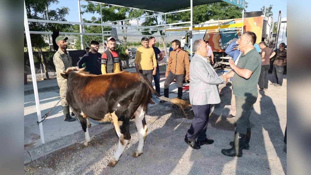 Talas Belediyesi'nden Kurban Bayramı hazırlıkları: Satış ve kesim yerleri belirlendi