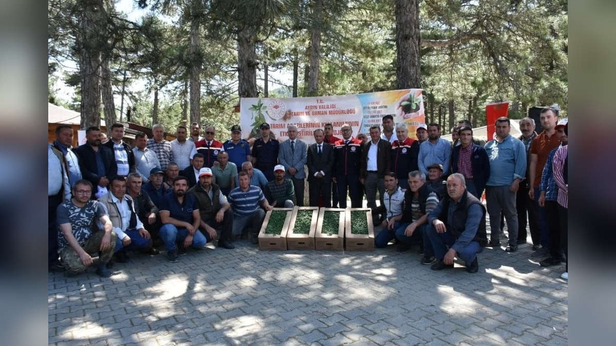 Aydın Kuyucak'ta üreticilere 220 bin domates fidesi dağıtıldı