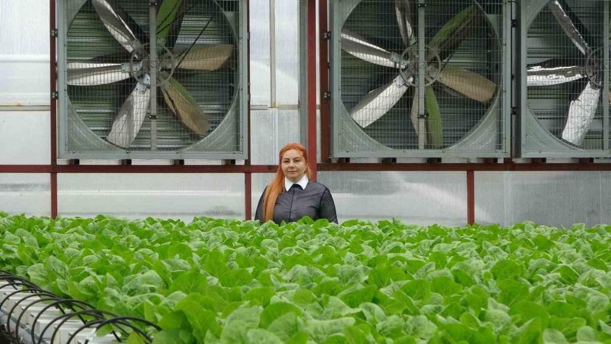 Trabzon'da Elif Çakıroğlu: teknolojik seralarla sürdürülebilir tarım