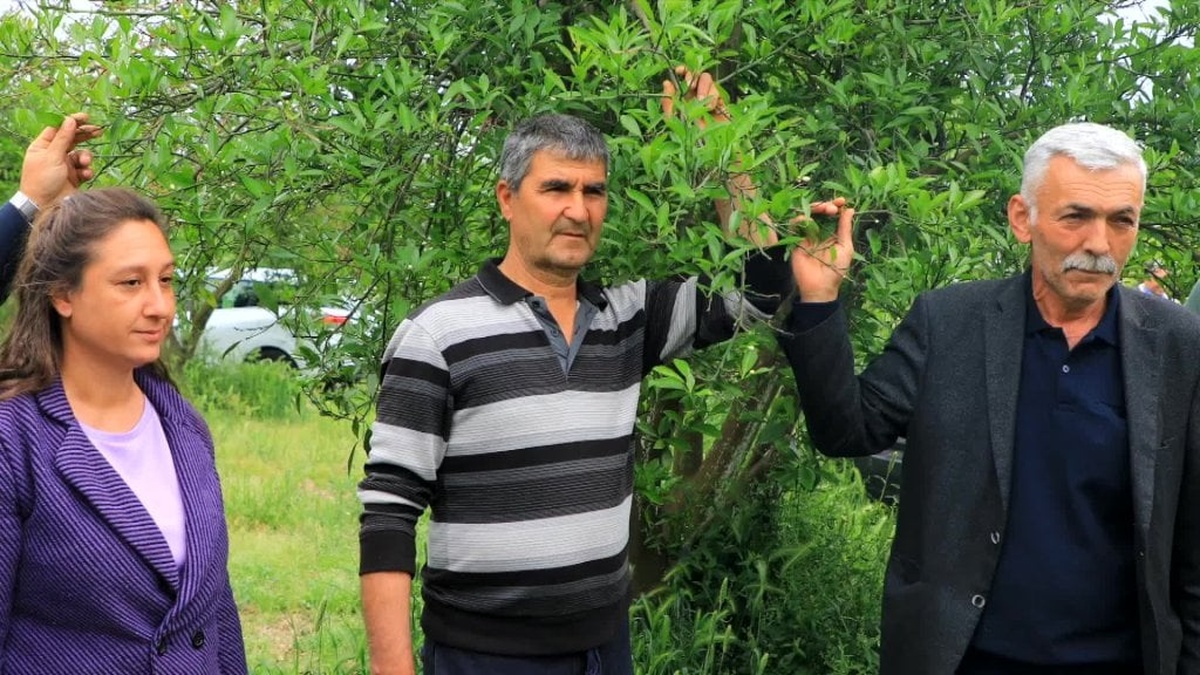 Muğla Büyükşehir Belediyesi'nden zirai don mağduru üreticilere destek