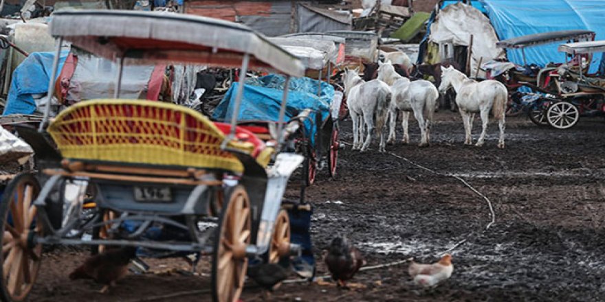 Adalar'daki faytonlar İBB meclisinde
